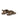 ajout_image