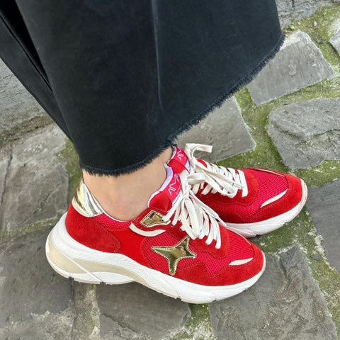Basket moon