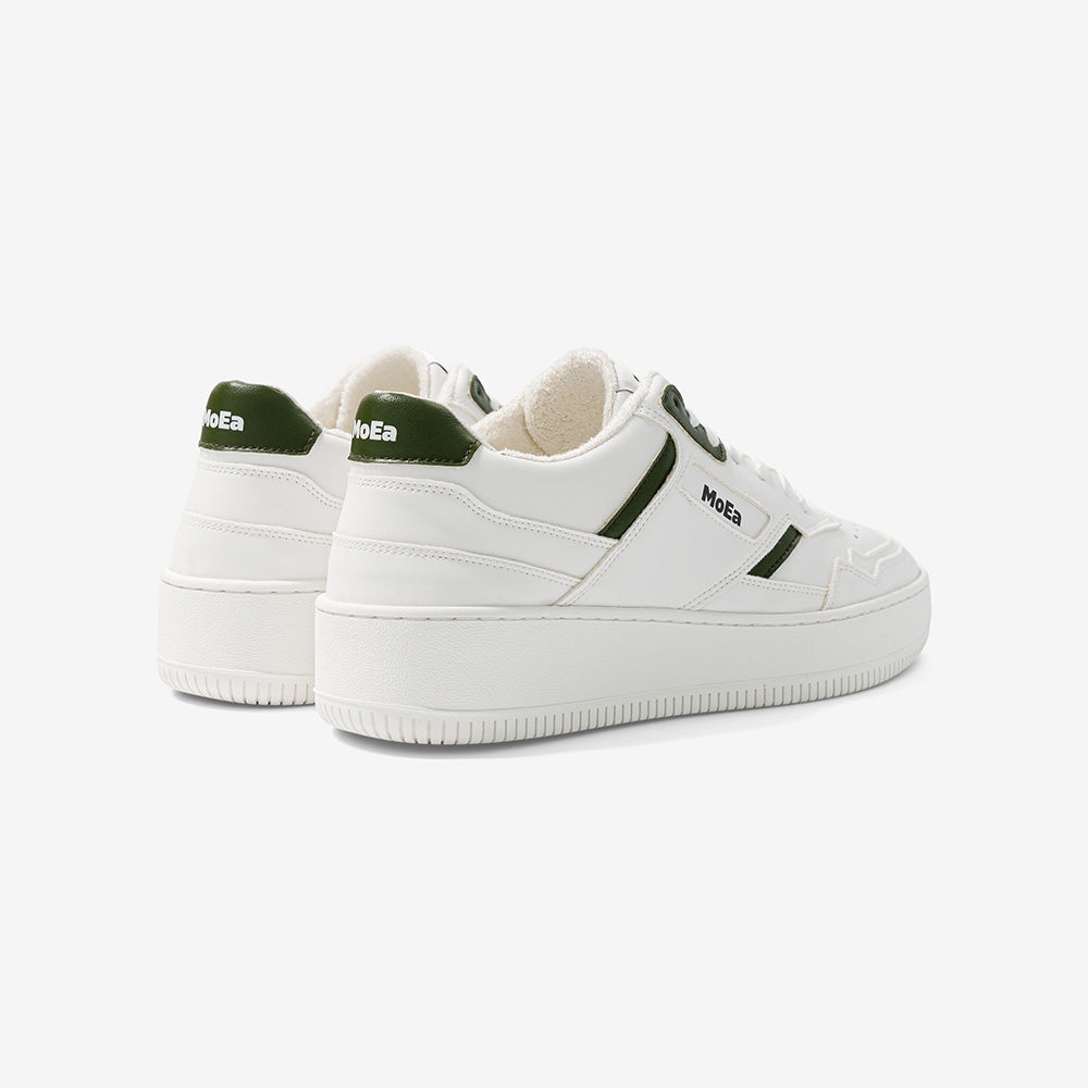 Basket gen 1 cactus