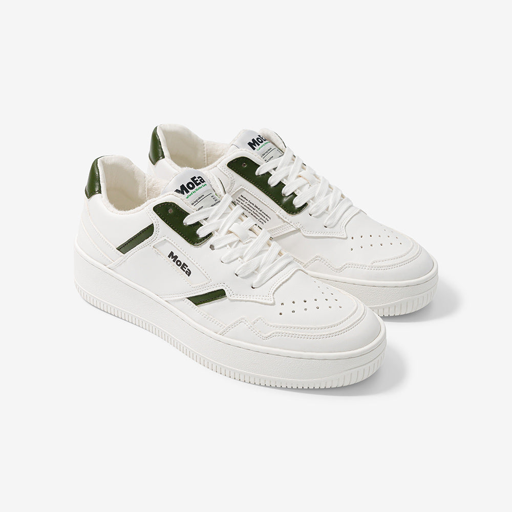 Basket gen 1 cactus
