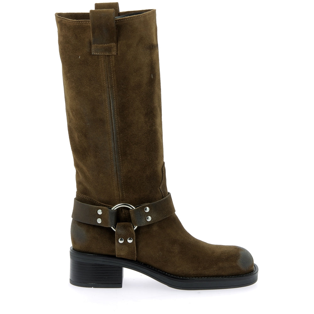 Botte blackpool