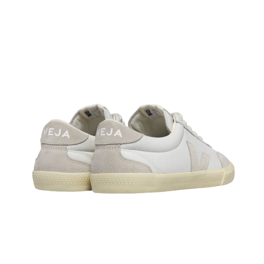 Volley ot homme