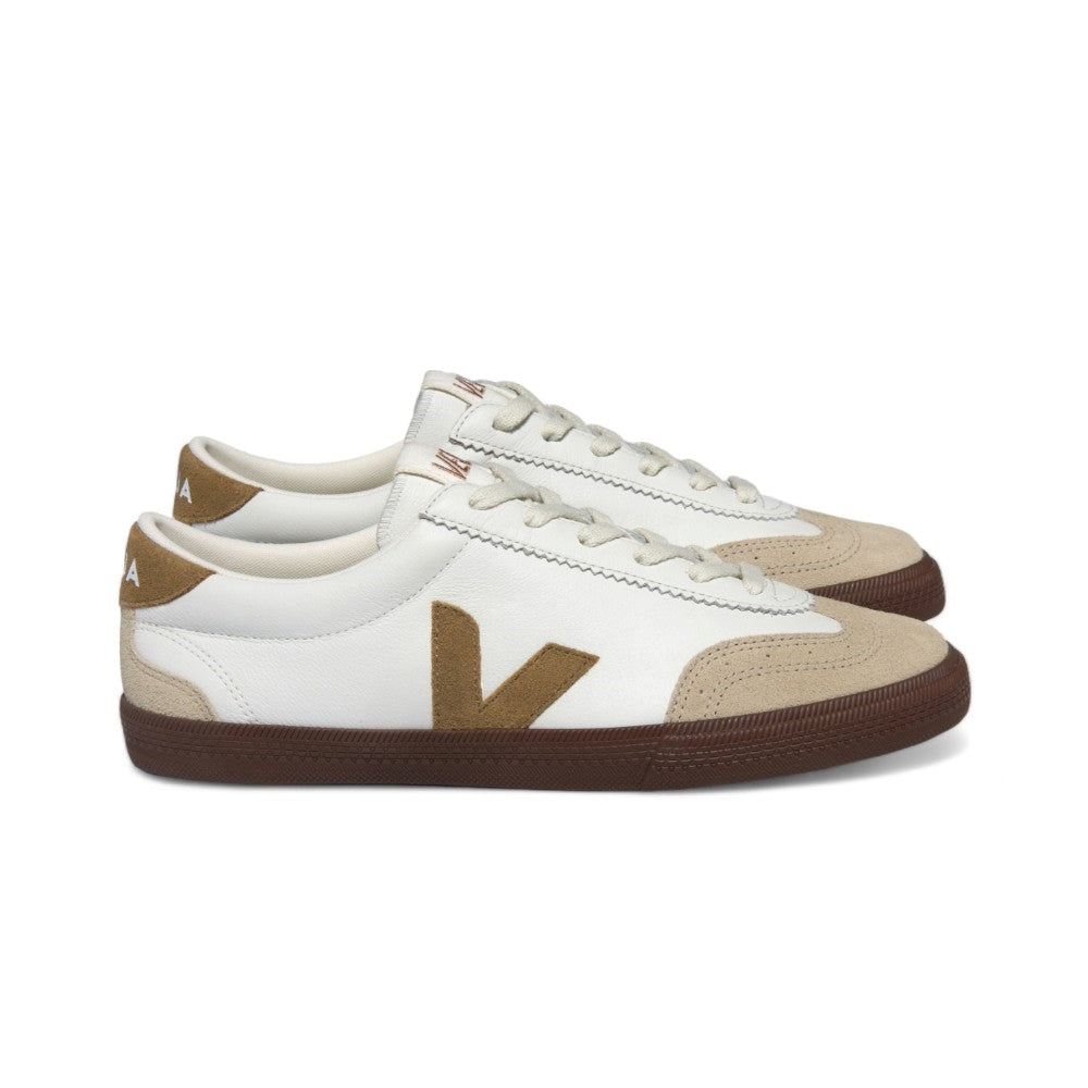 Volley ot homme