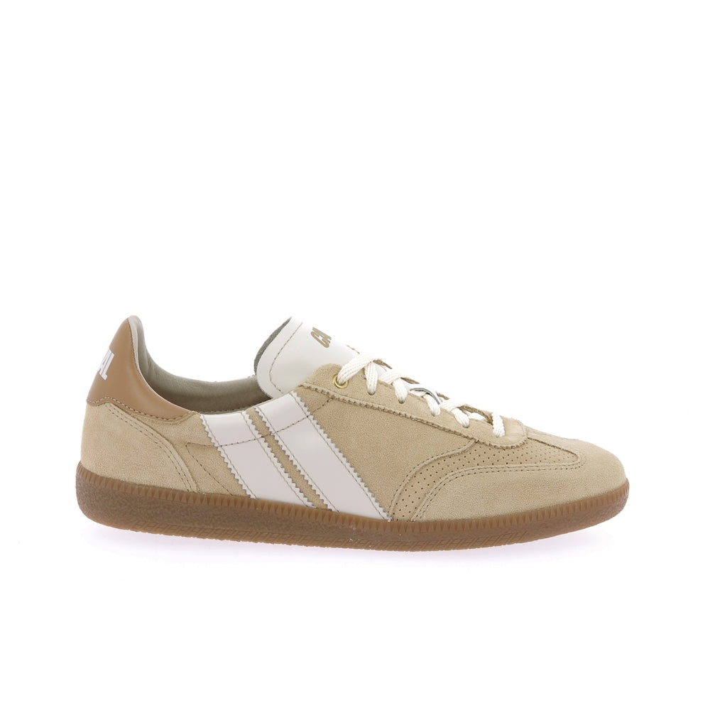 Basket pulse sweet dune