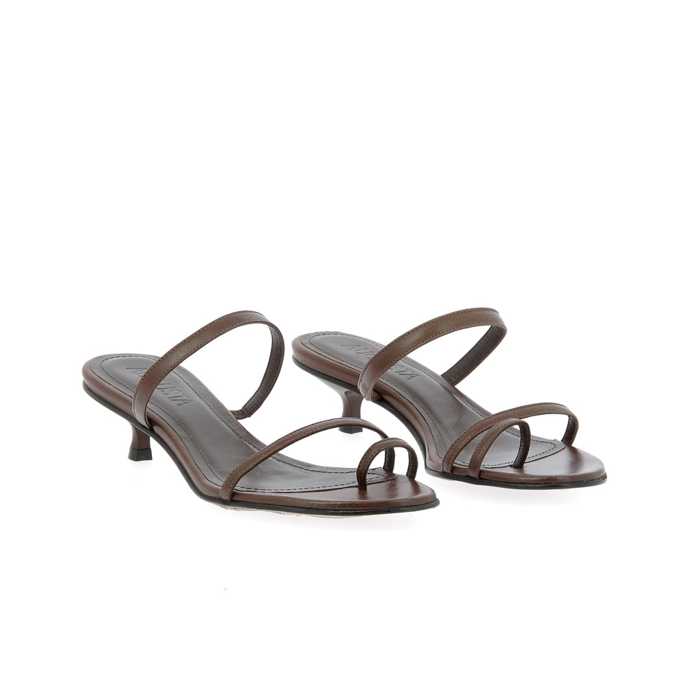 Sandal daisy