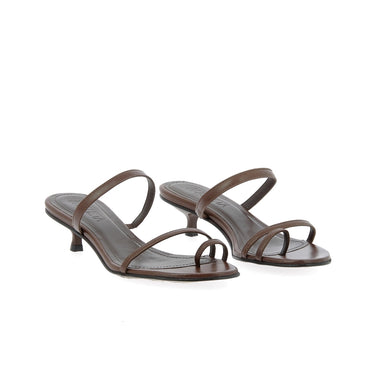 Sandal daisy