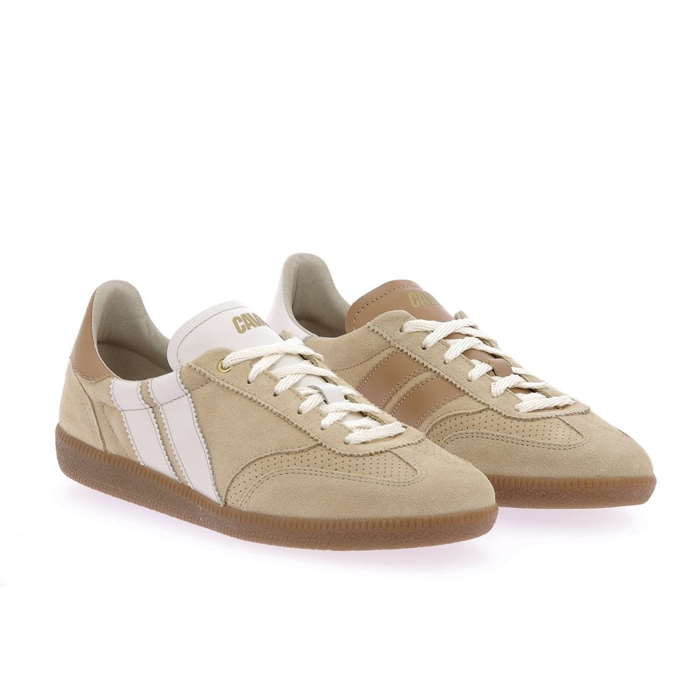 Basket pulse sweet dune